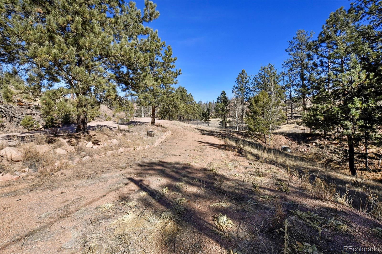 238 Chateau West Drive Florissant CO 80816