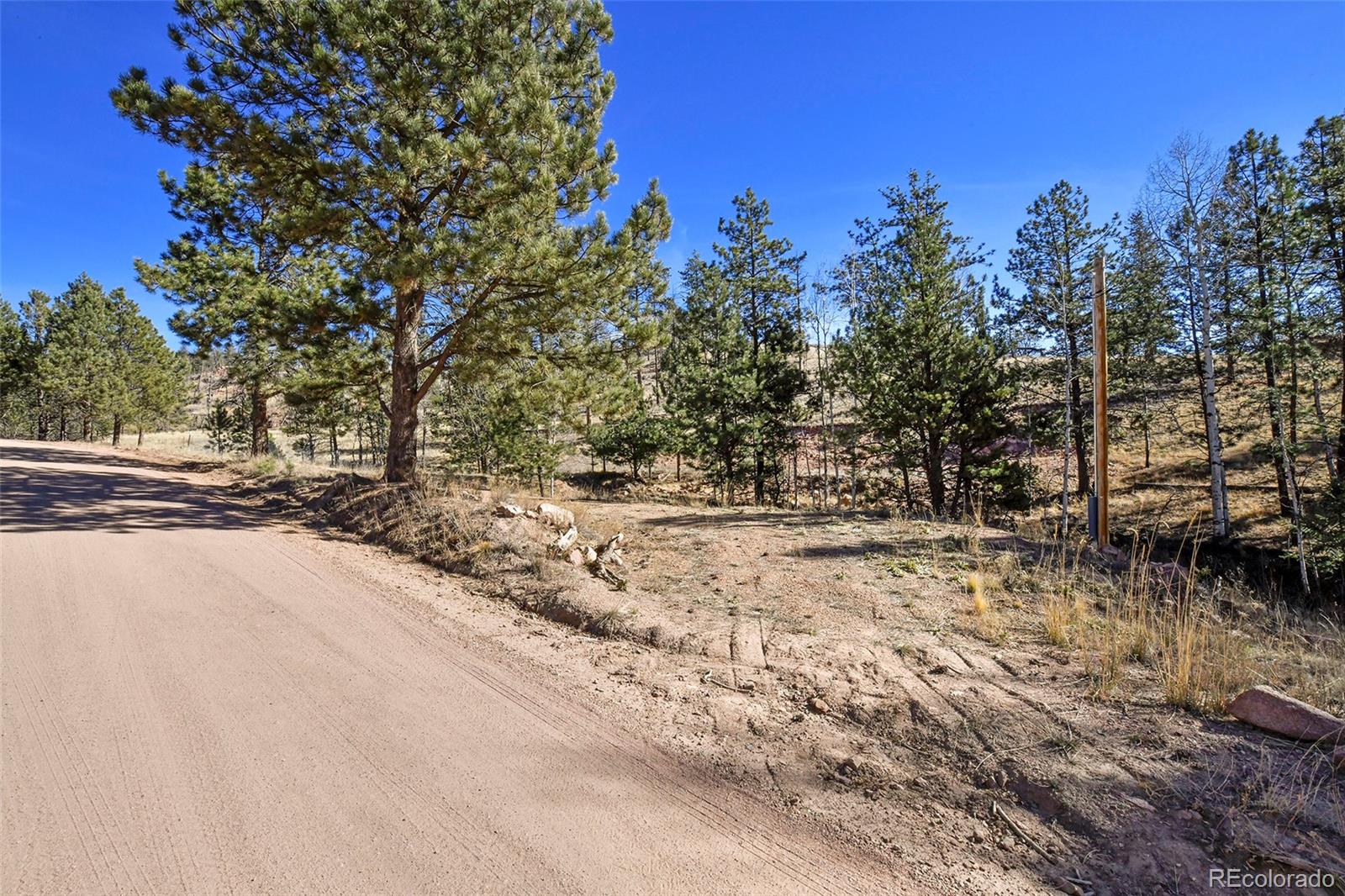 238 Chateau West Drive Florissant CO 80816