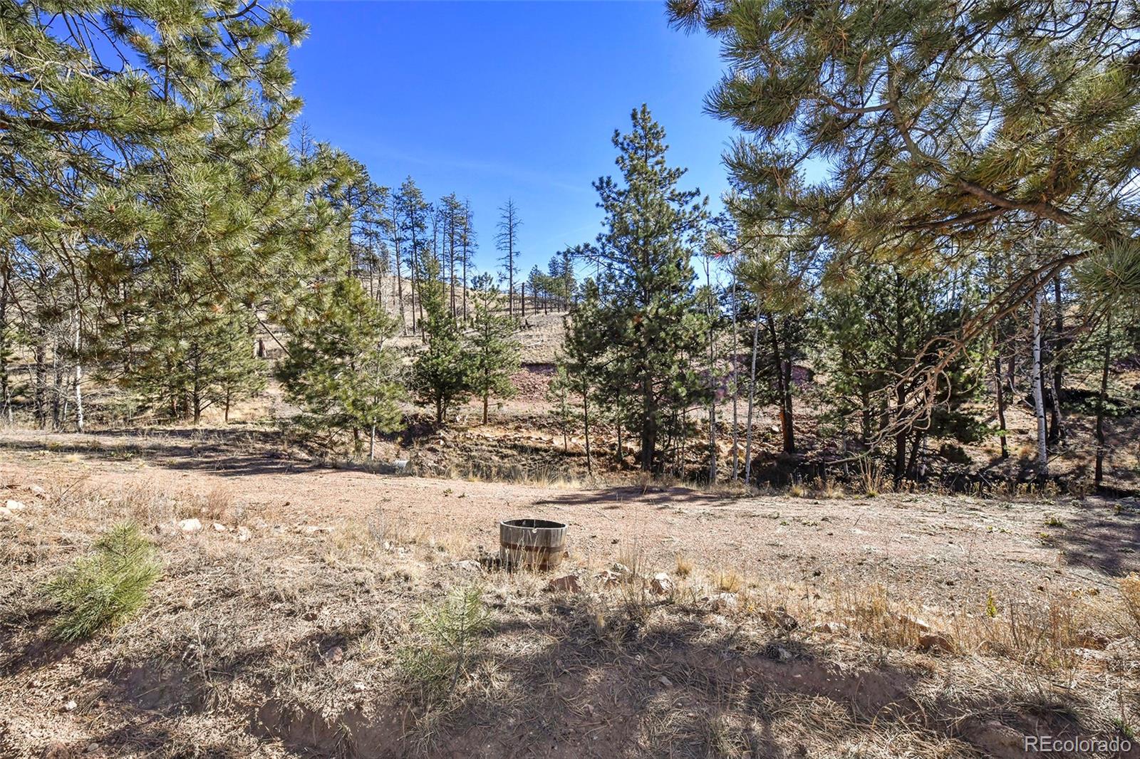 238 Chateau West Drive Florissant CO 80816