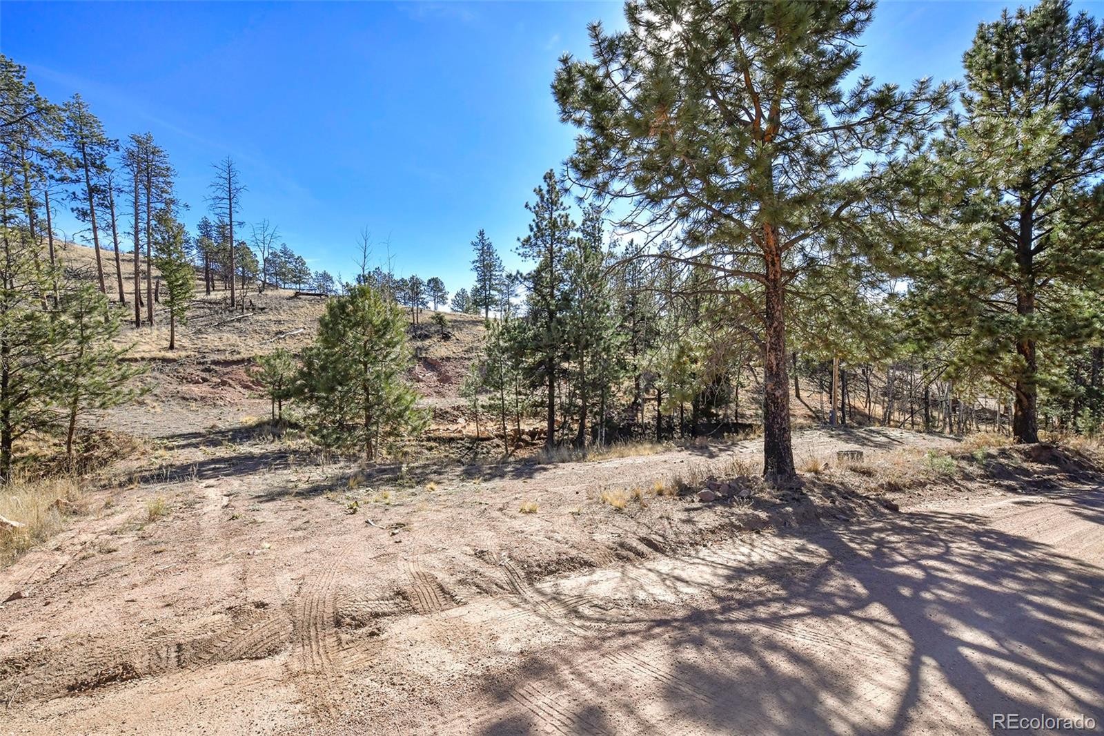 238 Chateau West Drive Florissant CO 80816
