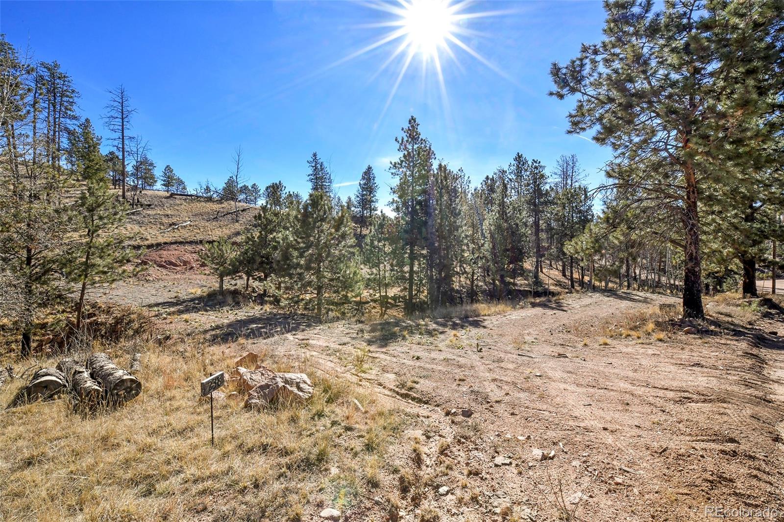 238 Chateau West Drive Florissant CO 80816