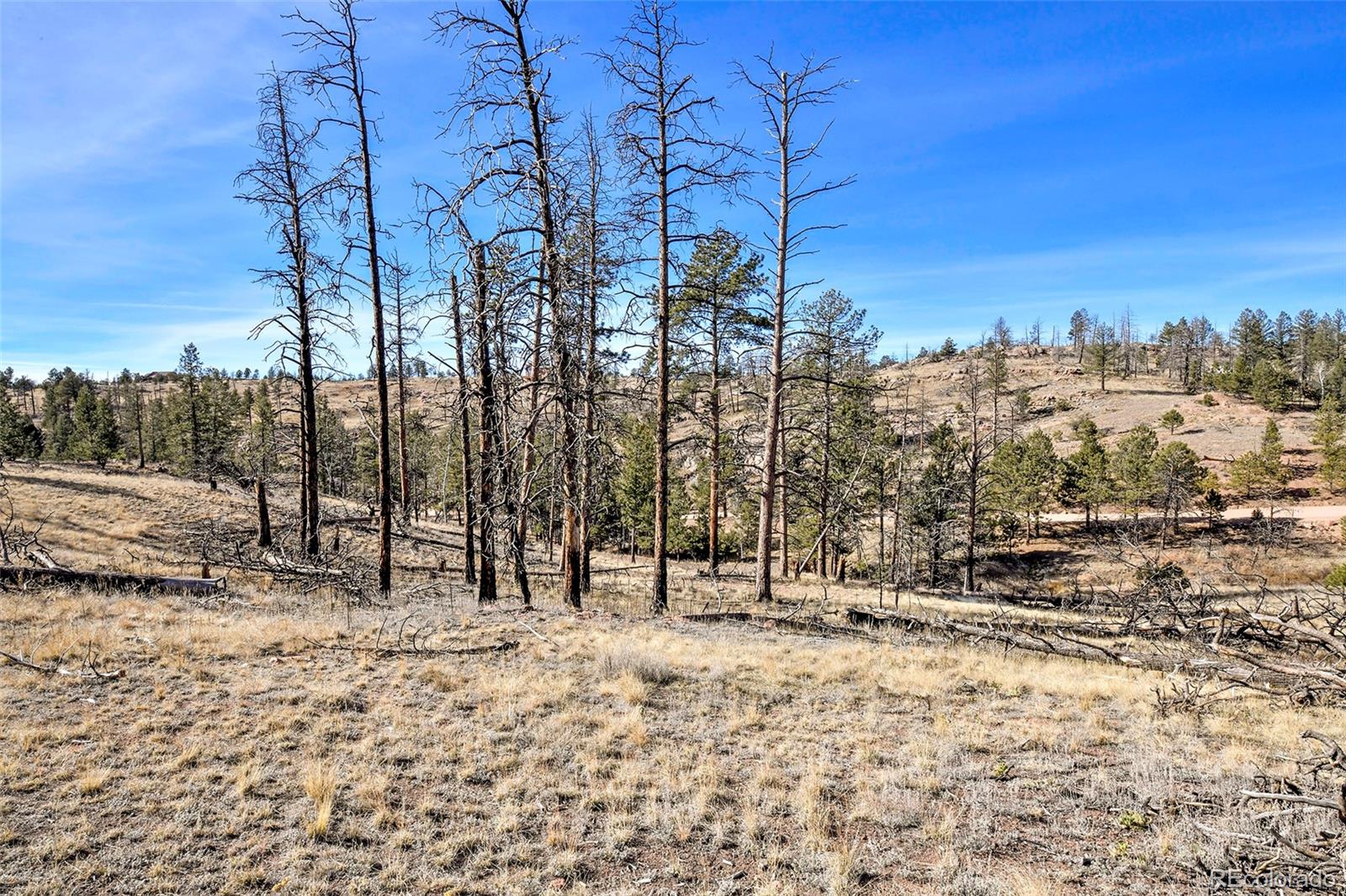238 Chateau West Drive Florissant CO 80816