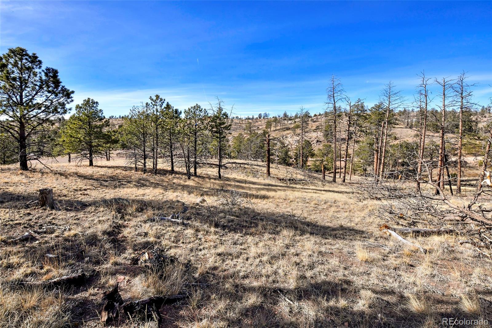 238 Chateau West Drive Florissant CO 80816