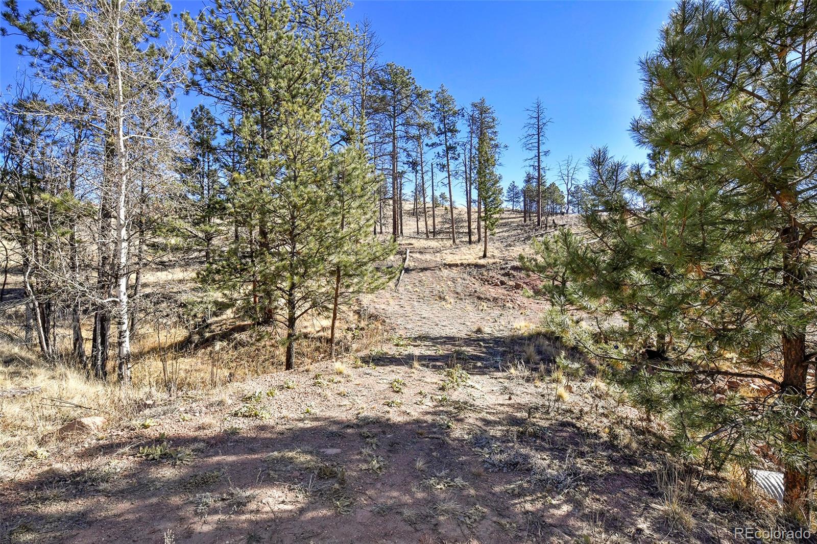 238 Chateau West Drive Florissant CO 80816