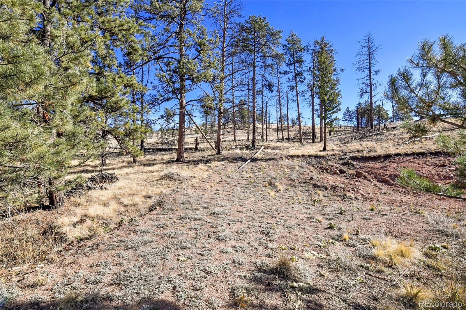 238 Chateau West Drive Florissant CO 80816