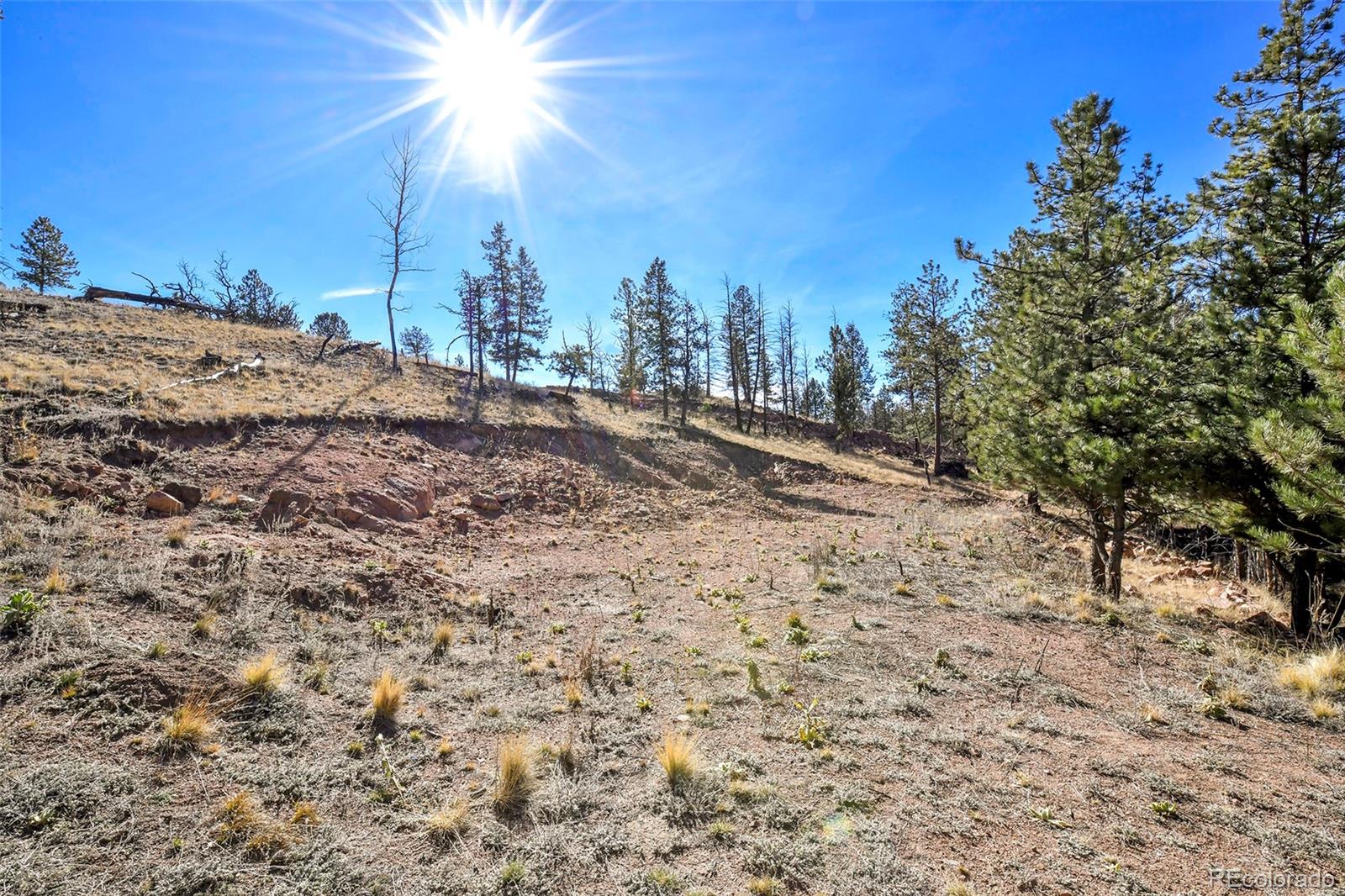 238 Chateau West Drive Florissant CO 80816