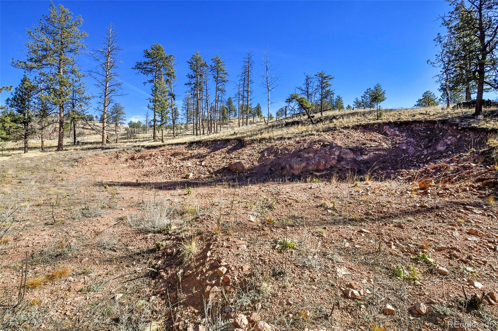 238 Chateau West Drive Florissant CO 80816