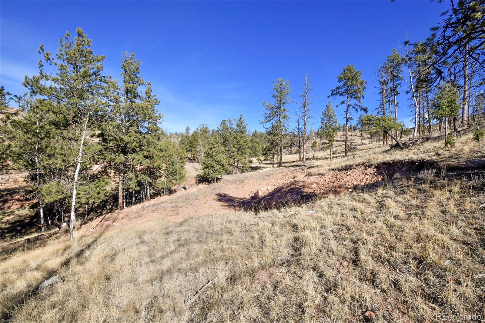 238 Chateau West Drive Florissant CO 80816