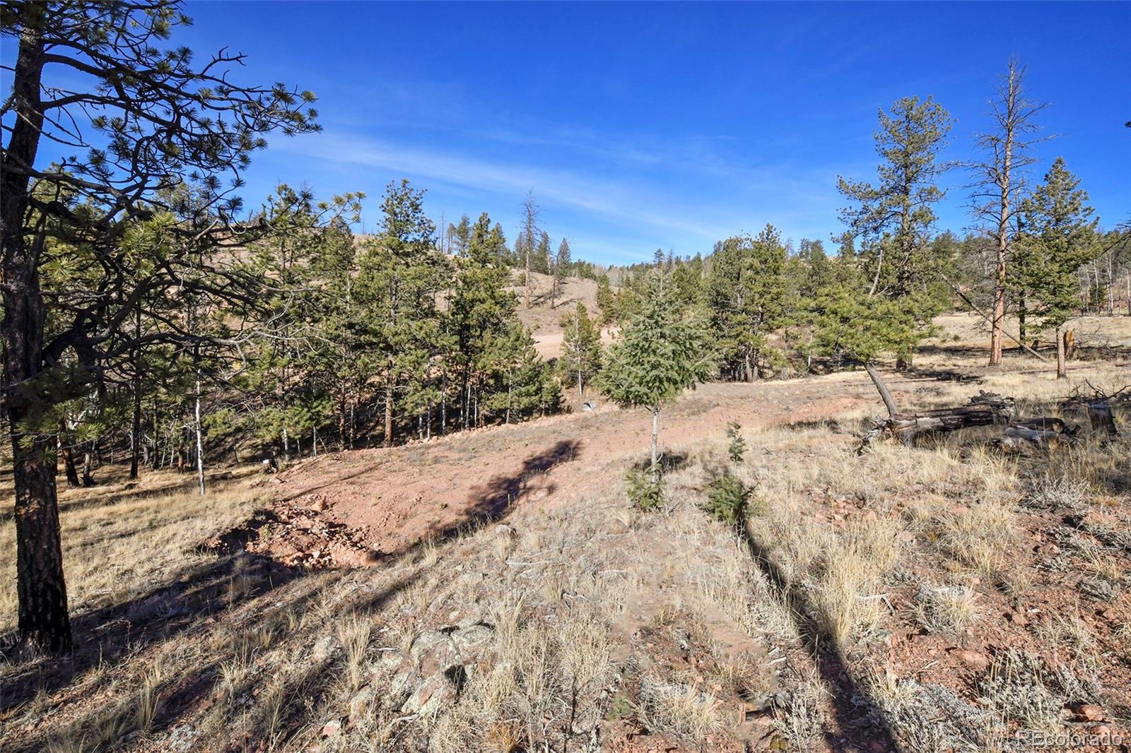238 Chateau West Drive Florissant CO 80816