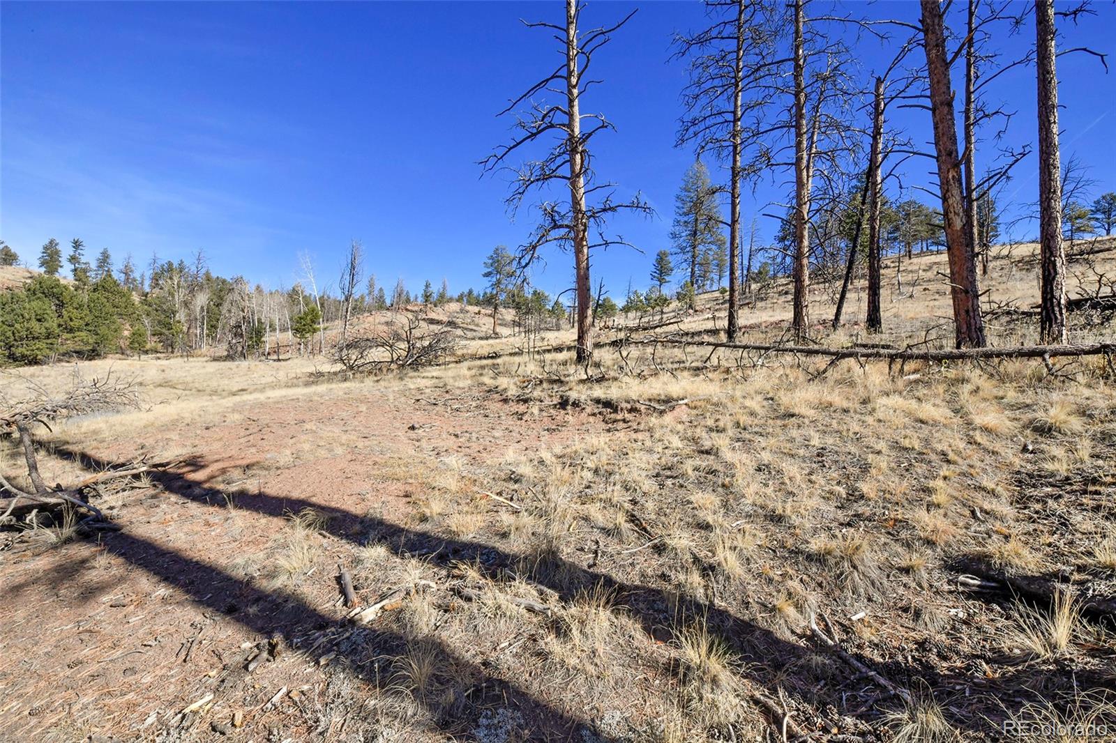 238 Chateau West Drive Florissant CO 80816