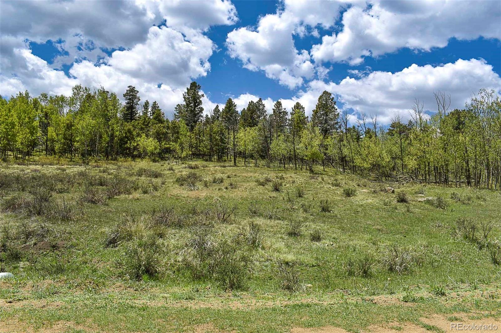 130 Rock Drive Guffey CO 80820