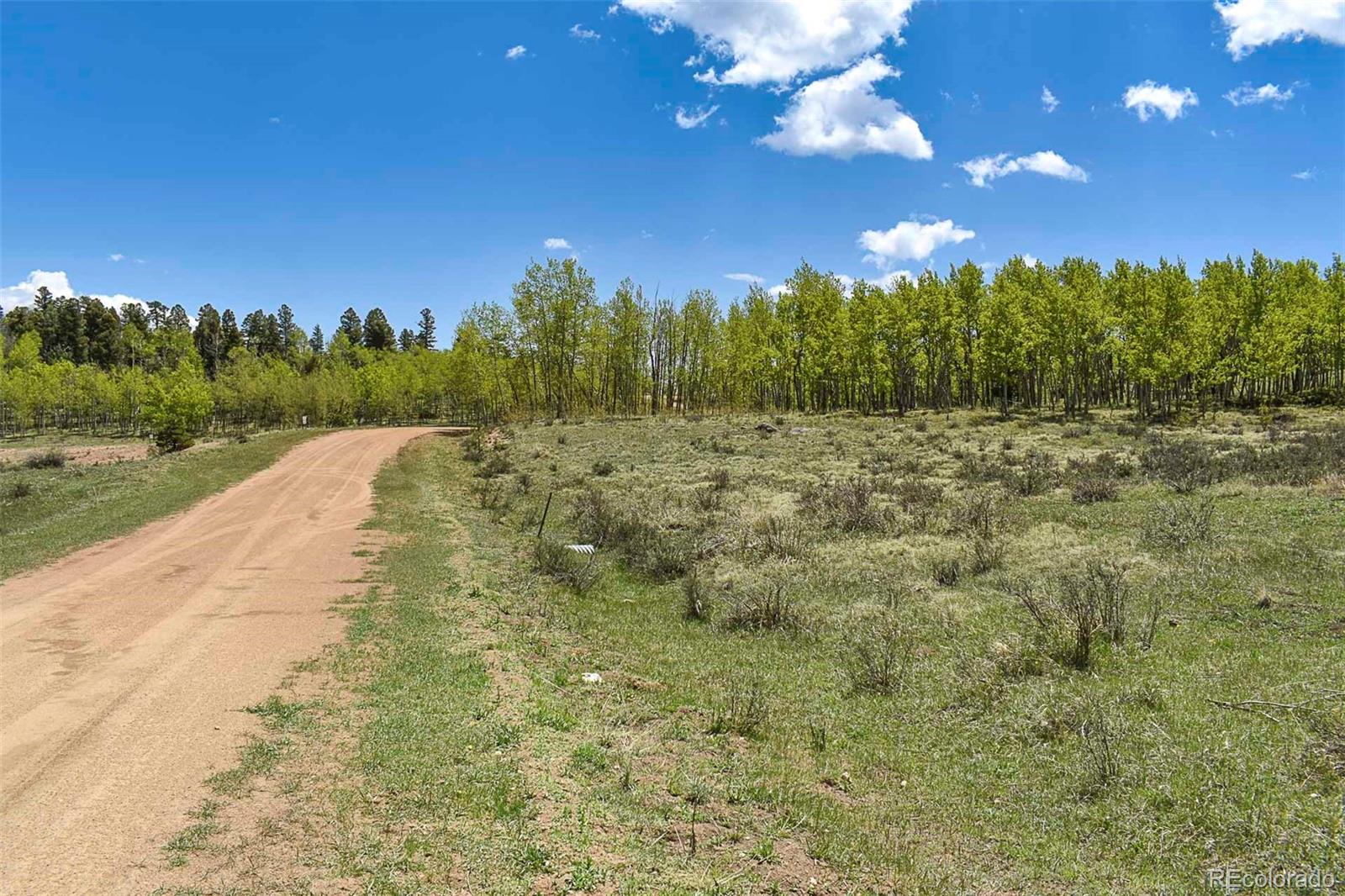 130 Rock Drive Guffey CO 80820