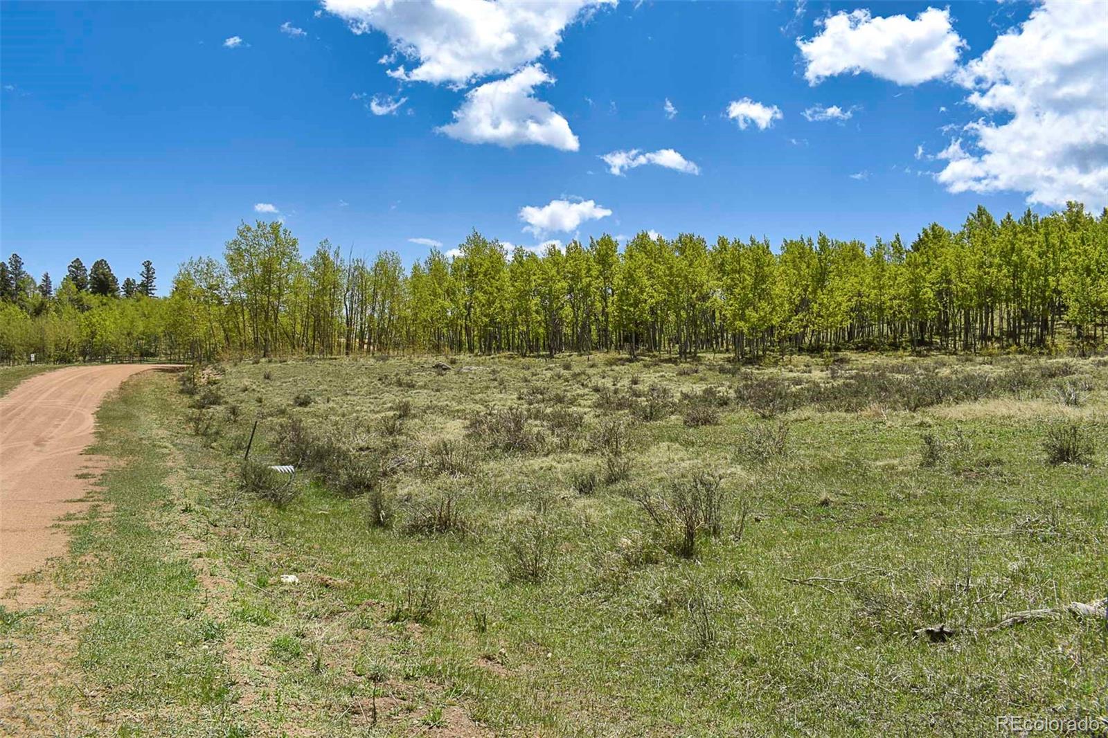 130 Rock Drive Guffey CO 80820