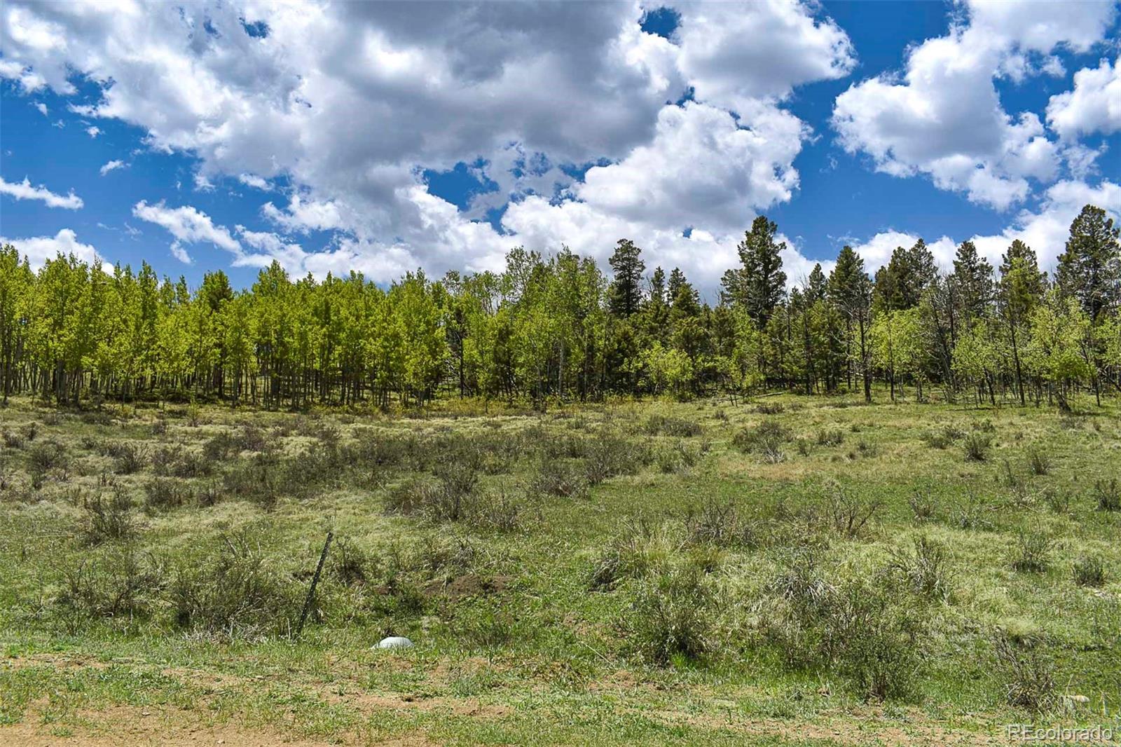 130 Rock Drive Guffey CO 80820