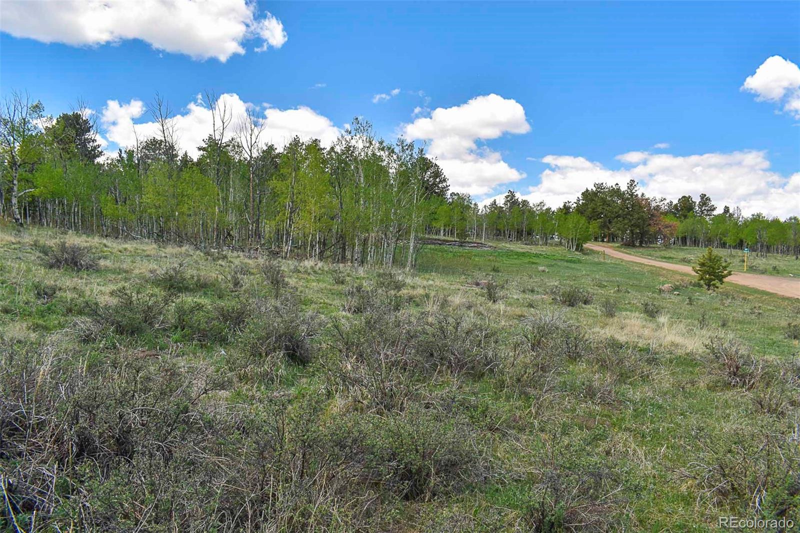 130 Rock Drive Guffey CO 80820
