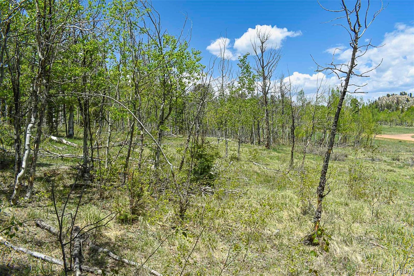 130 Rock Drive Guffey CO 80820