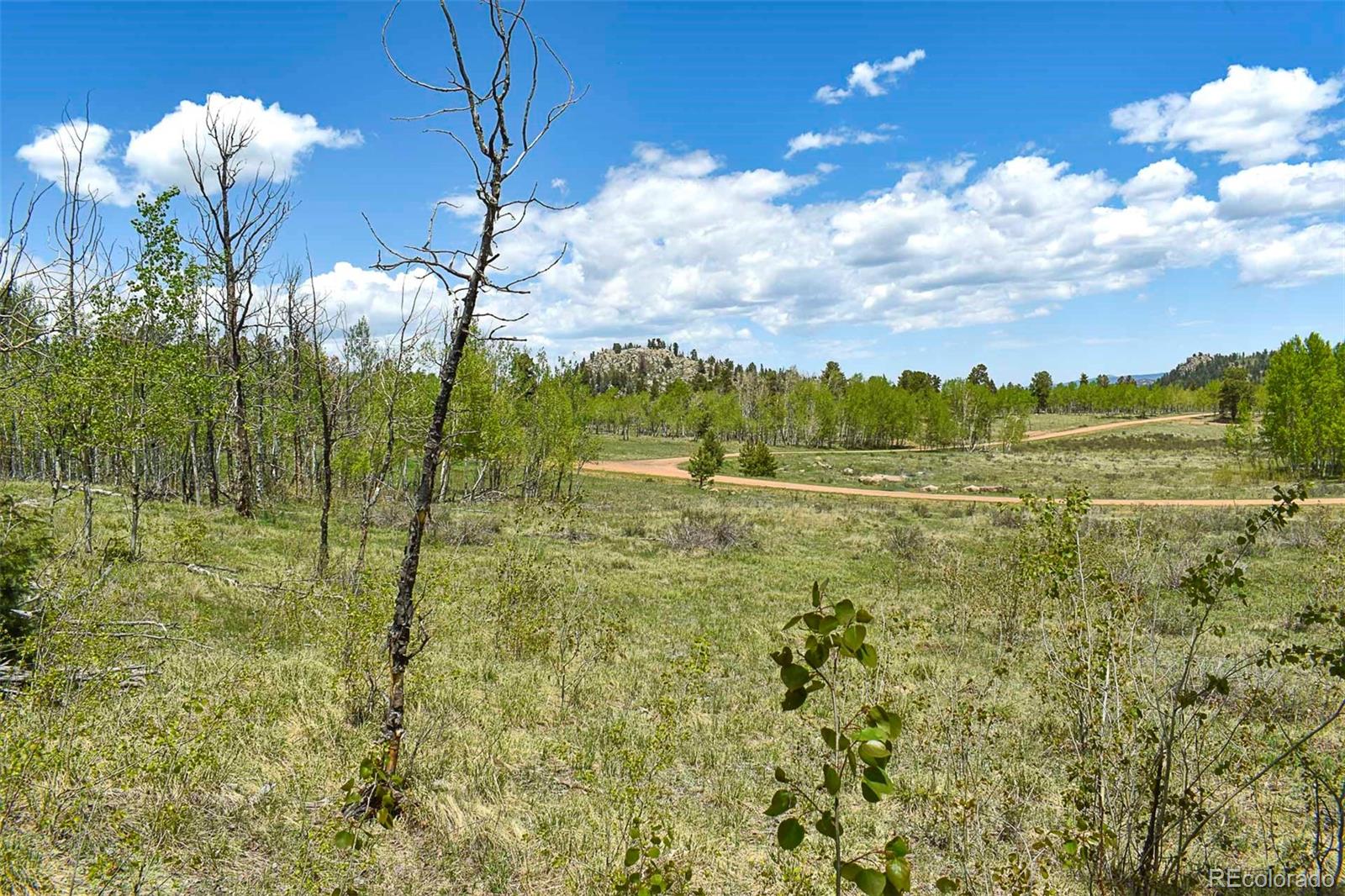 130 Rock Drive Guffey CO 80820