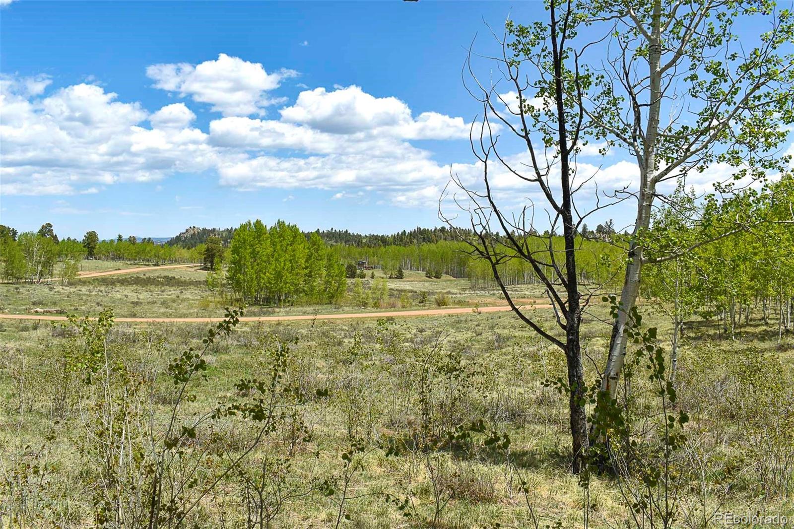 130 Rock Drive Guffey CO 80820