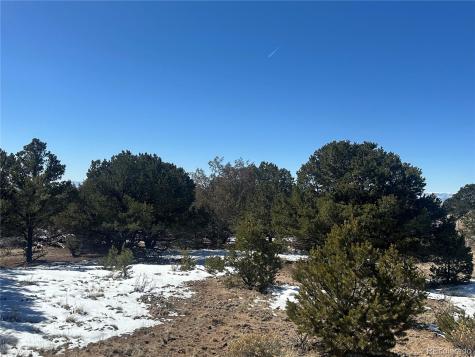 1223 Brookview Way Crestone CO 81131