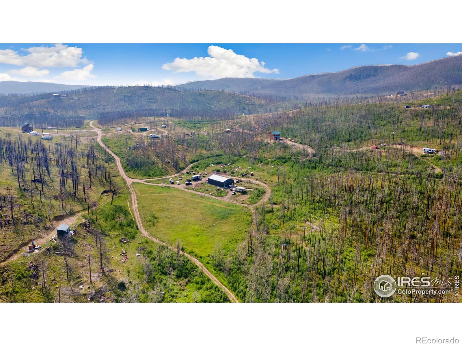 1081 Deer Horn Trail Bellvue CO 80512