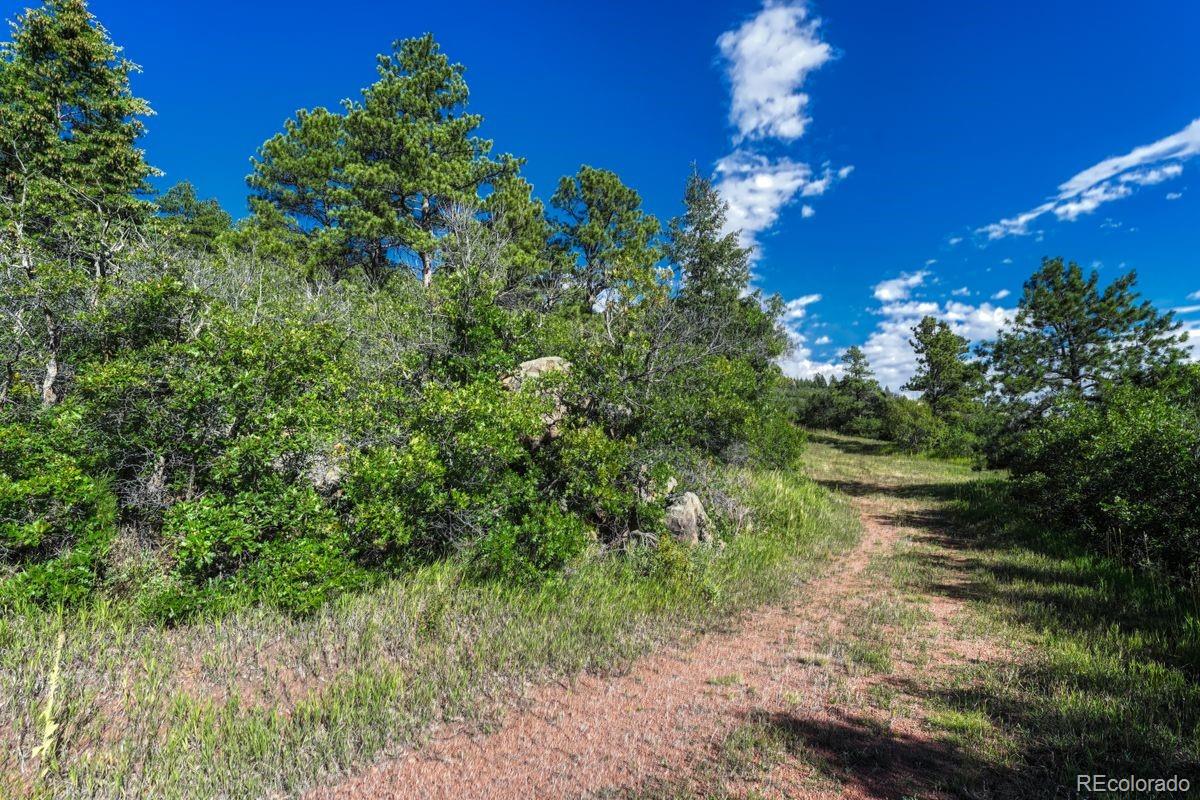 00 Columbine Road Larkspur CO 80118