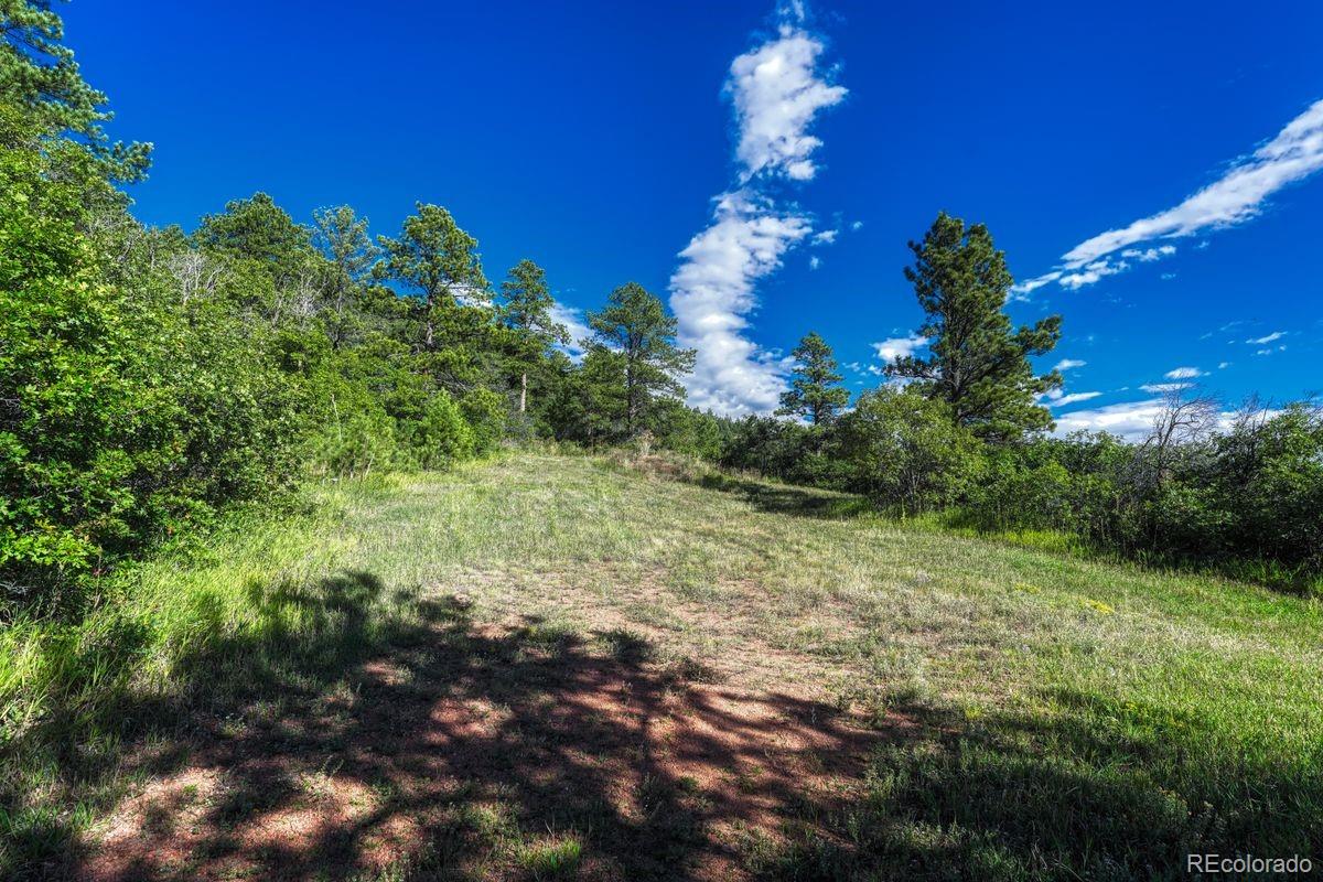 00 Columbine Road Larkspur CO 80118