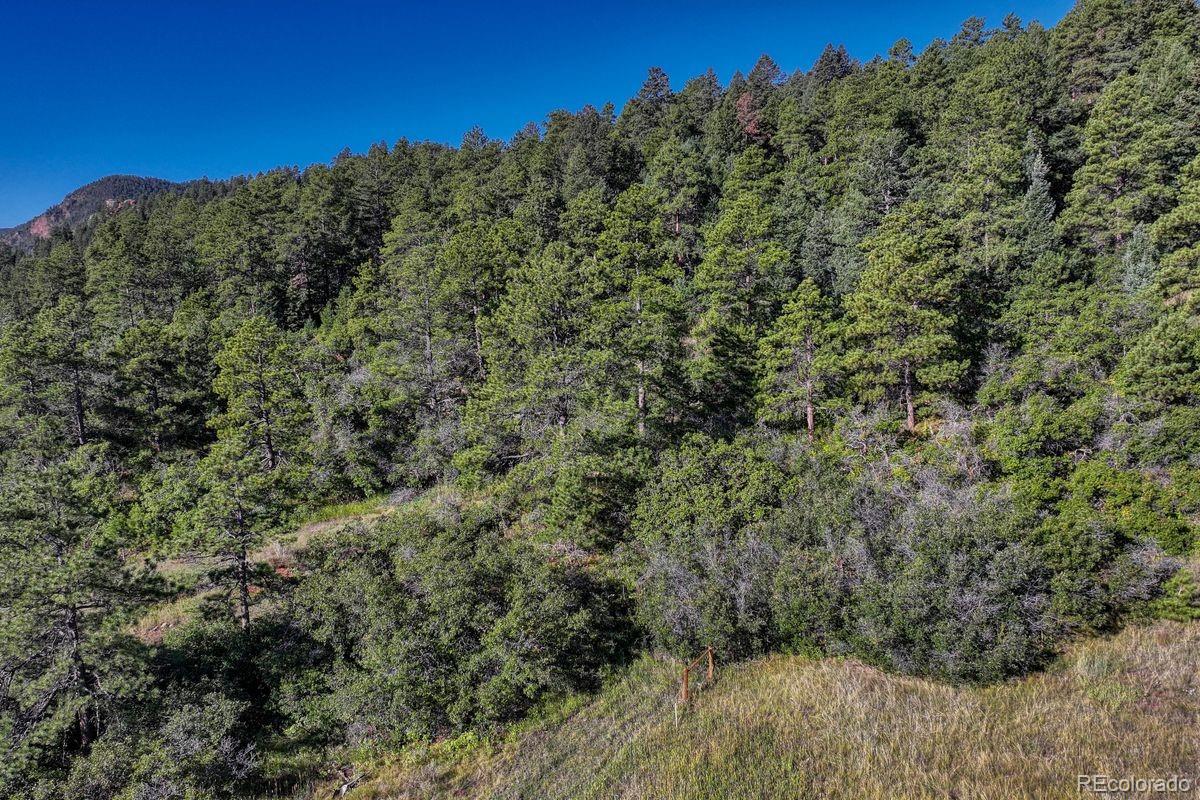 00 Columbine Road Larkspur CO 80118