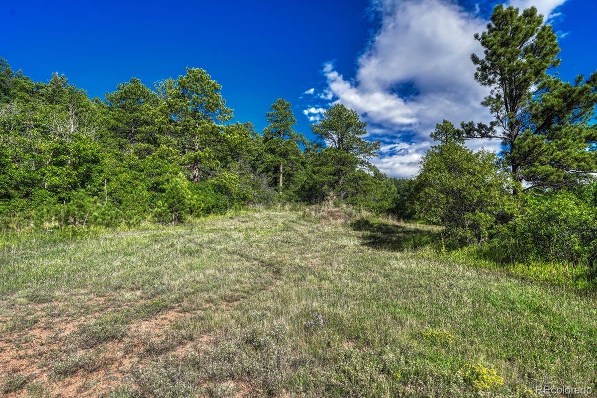 00 Columbine Road Larkspur CO 80118