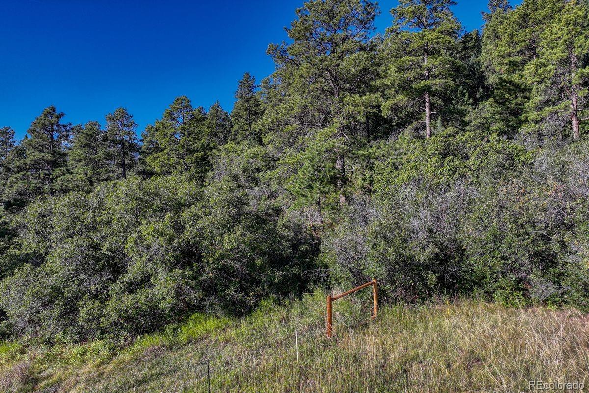00 Columbine Road Larkspur CO 80118