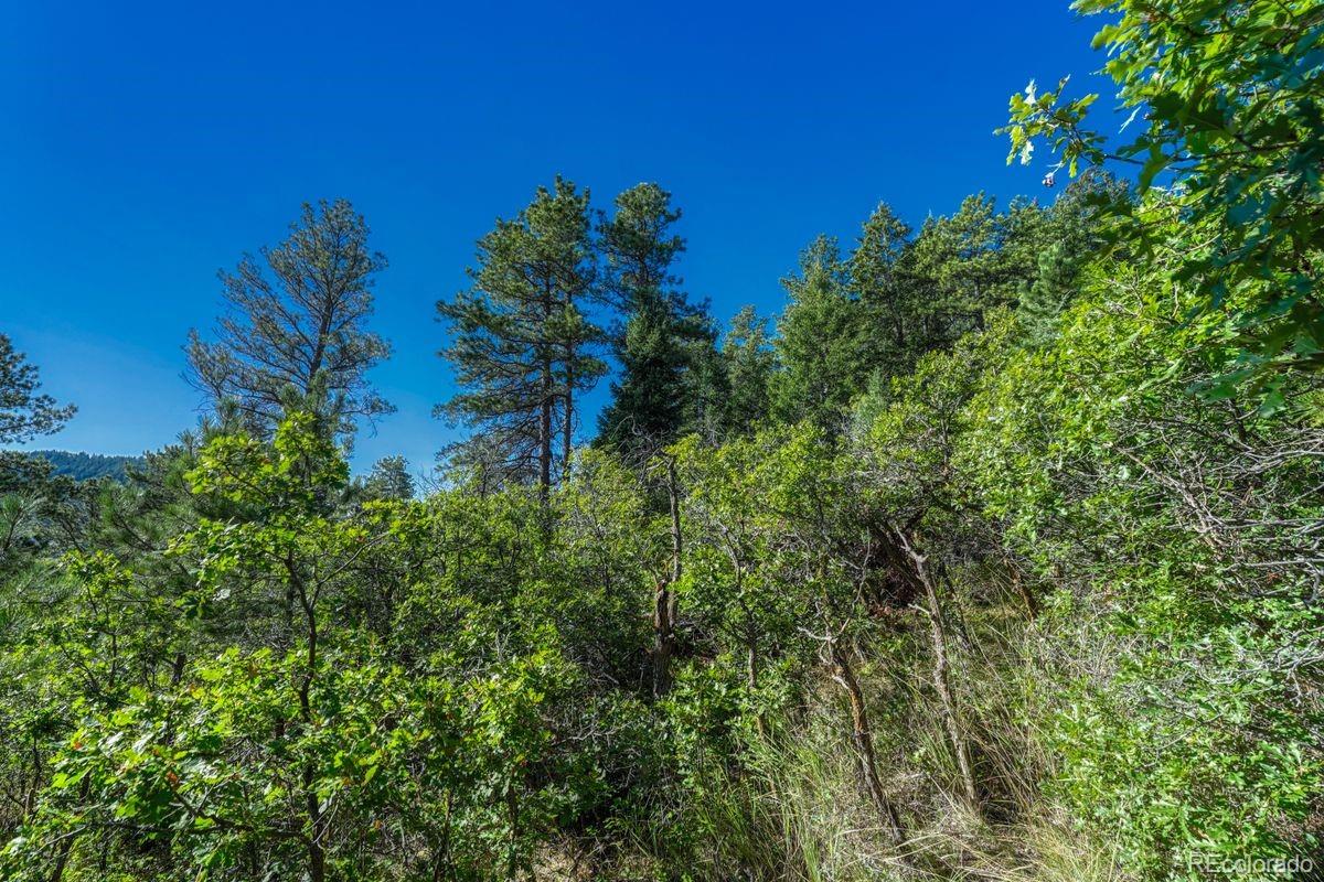 00 Columbine Road Larkspur CO 80118