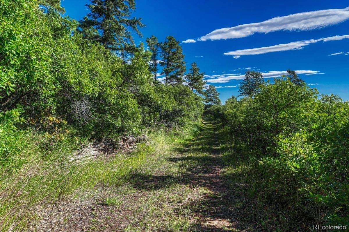 00 Columbine Road Larkspur CO 80118