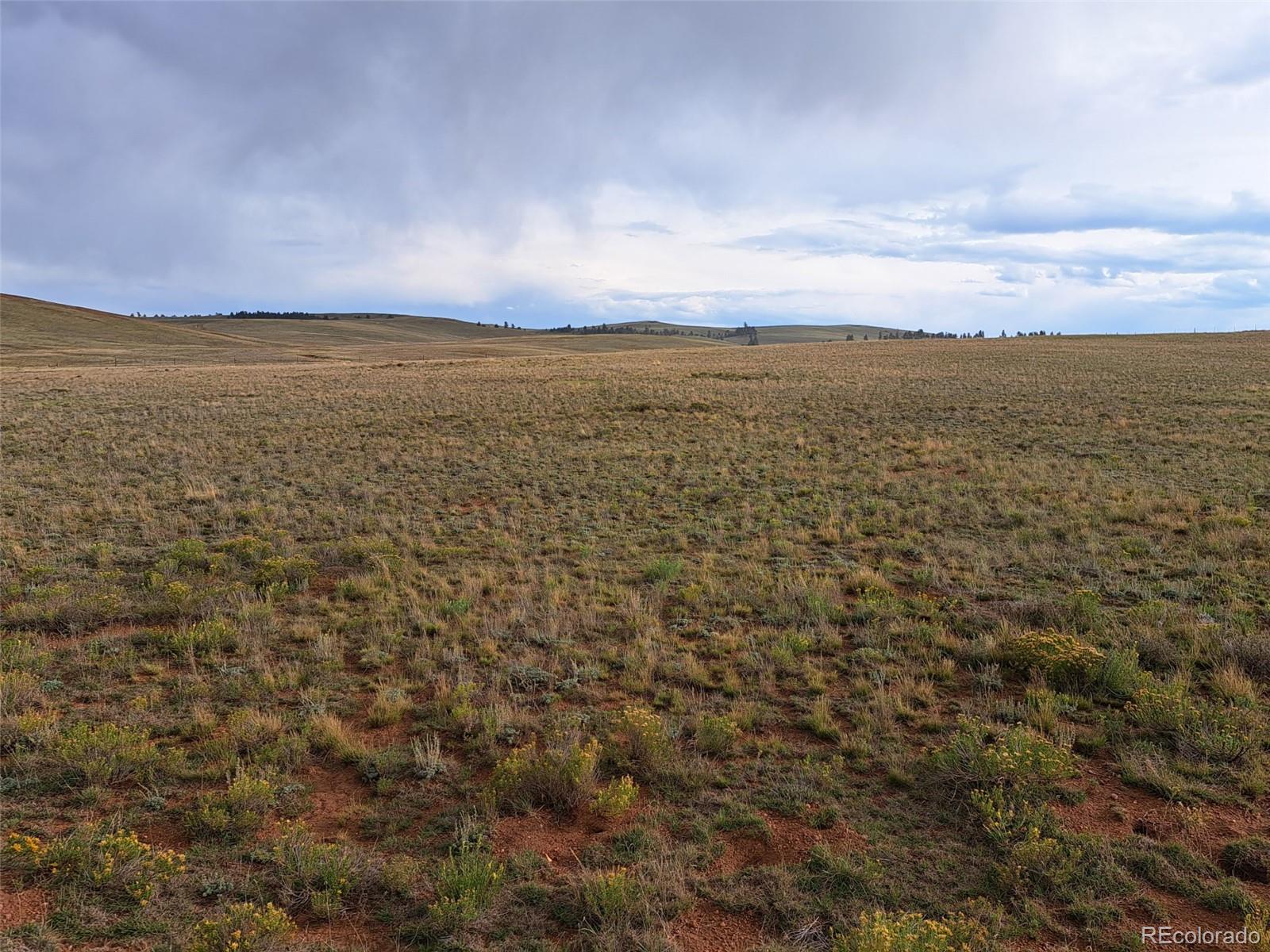 0000 Kiowa Road Hartsel CO 80449