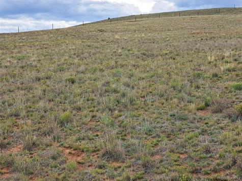 0000 Kiowa Road Hartsel CO 80449