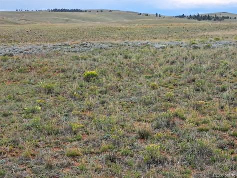 0000 Kiowa Road Hartsel CO 80449