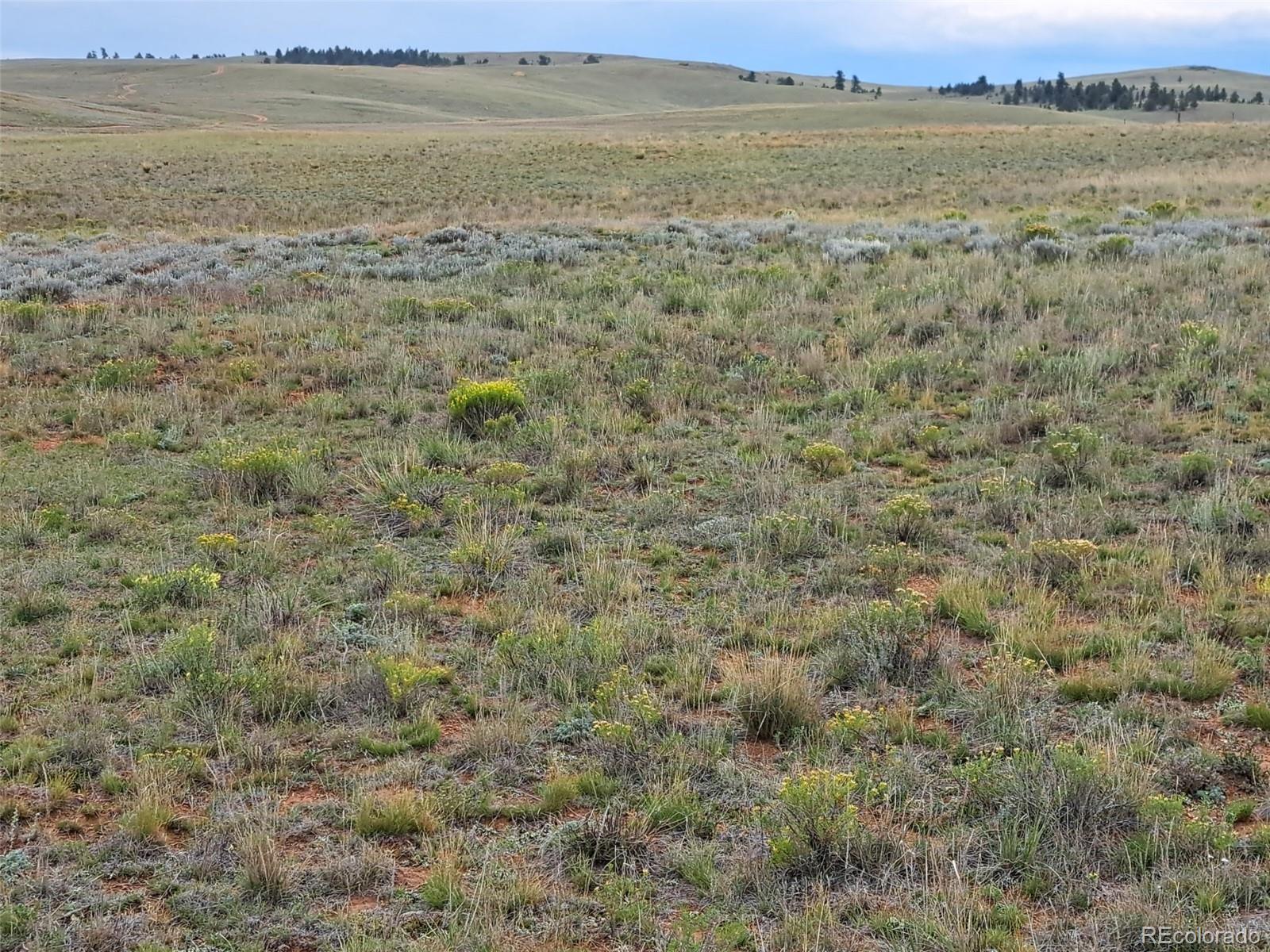 0000 Kiowa Road Hartsel CO 80449