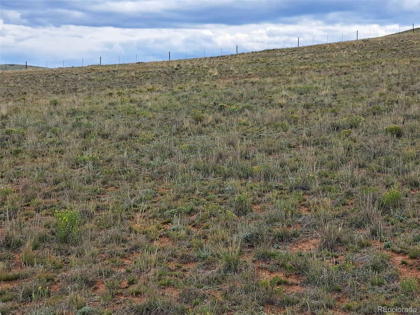 0000 Kiowa Road Hartsel CO 80449