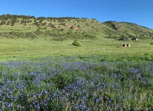 223 Stone Canyon Road Lyons CO 80540