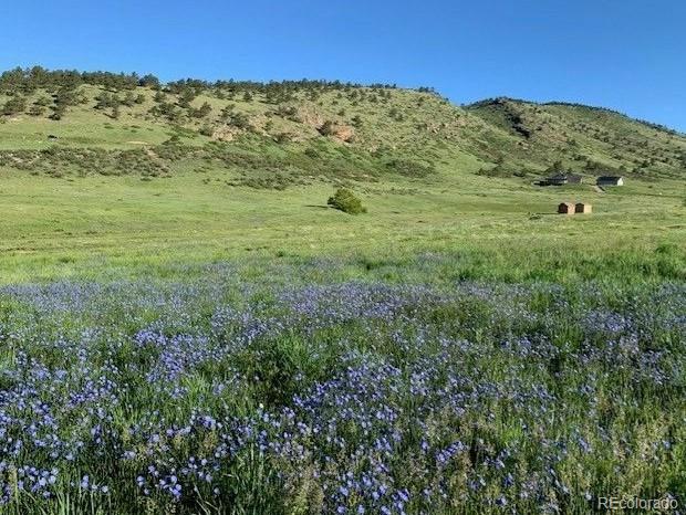 223 Stone Canyon Road Lyons CO 80540