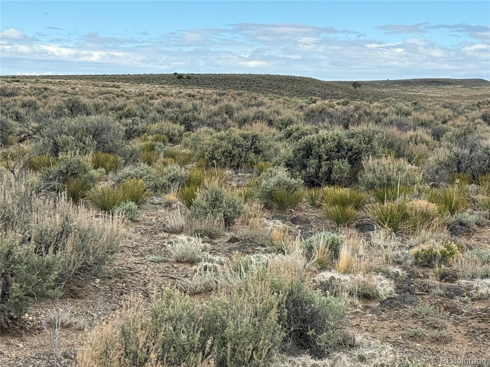 Lot 12 5th Street Fort Garland CO 81133