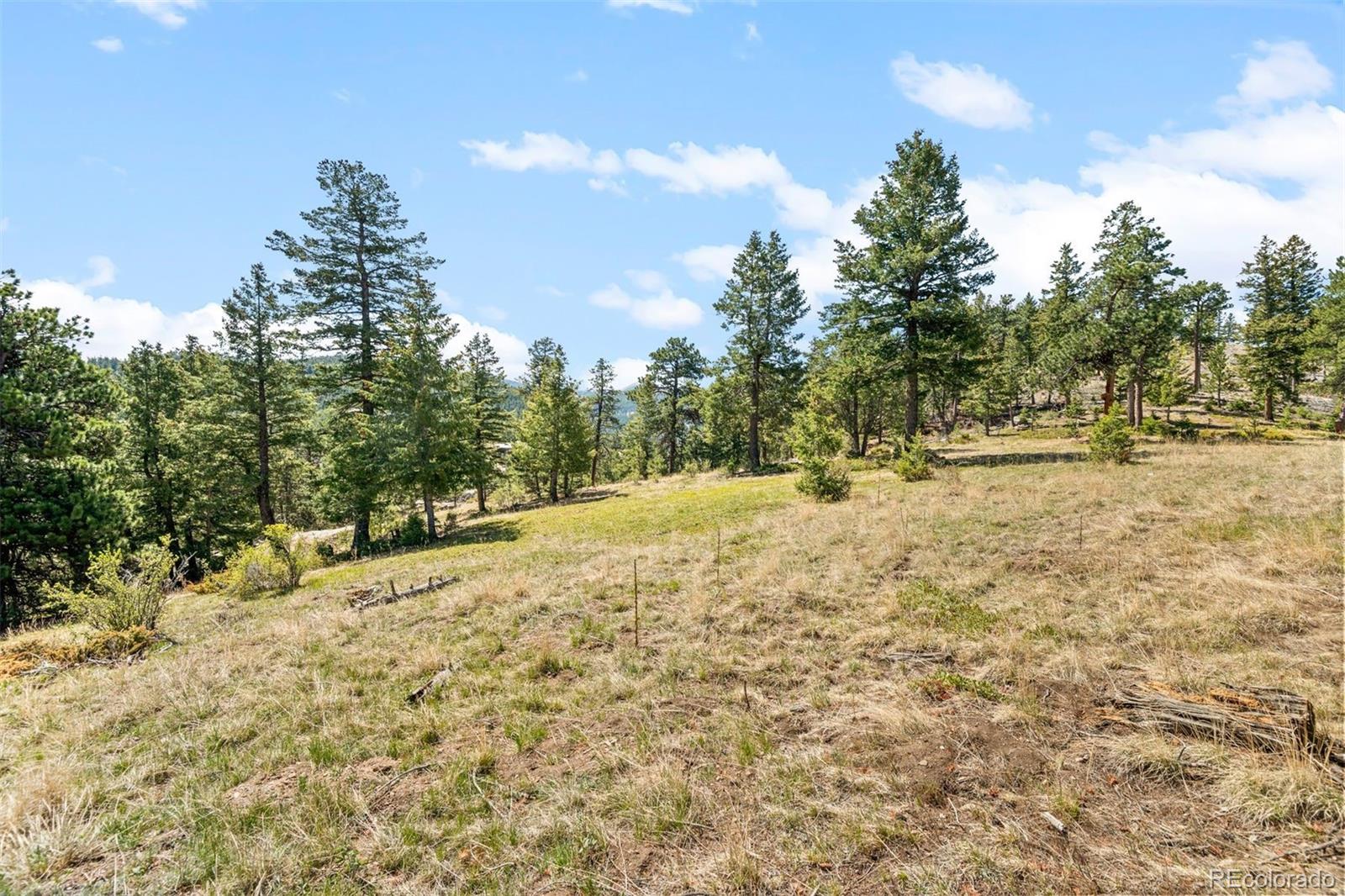 6351 Canyon Creek Road Evergreen CO 80439