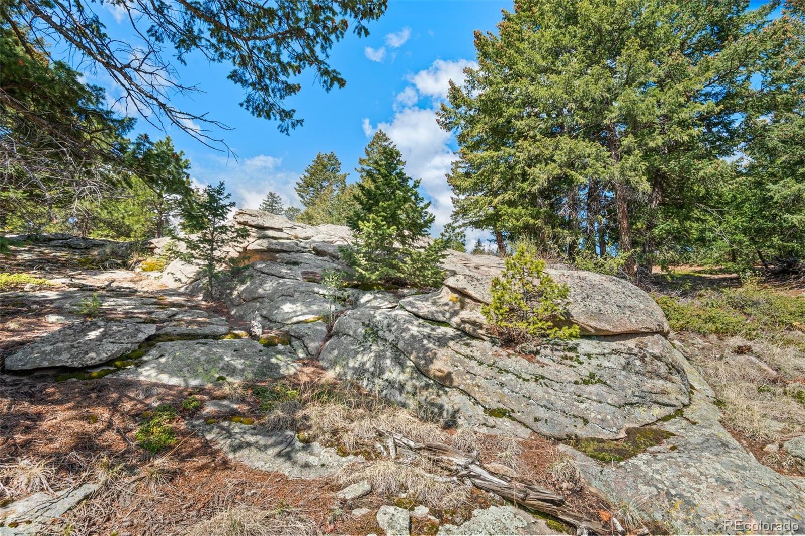 6351 Canyon Creek Road Evergreen CO 80439