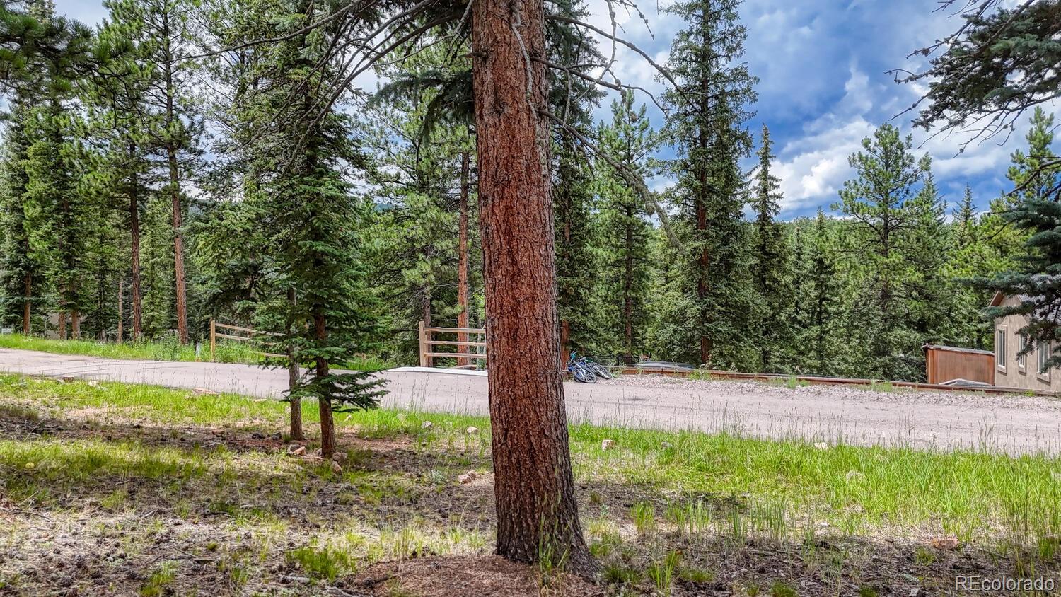 215 Iron Eagle Point Woodland Park CO 80863