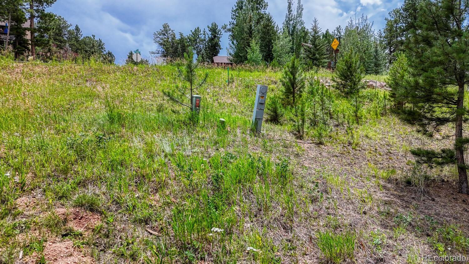 215 Iron Eagle Point Woodland Park CO 80863