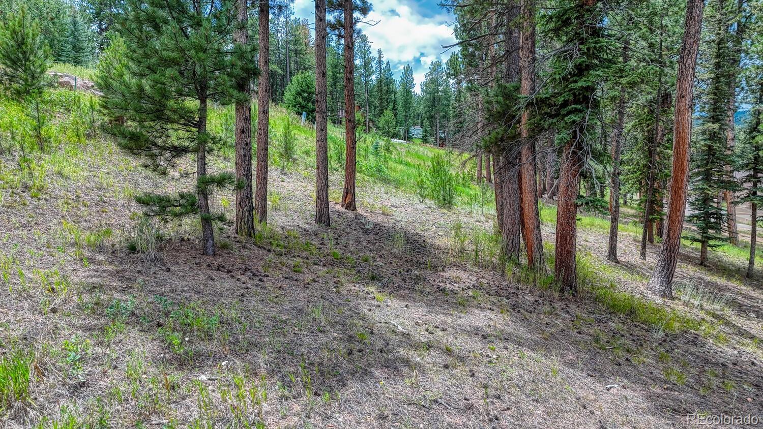 215 Iron Eagle Point Woodland Park CO 80863