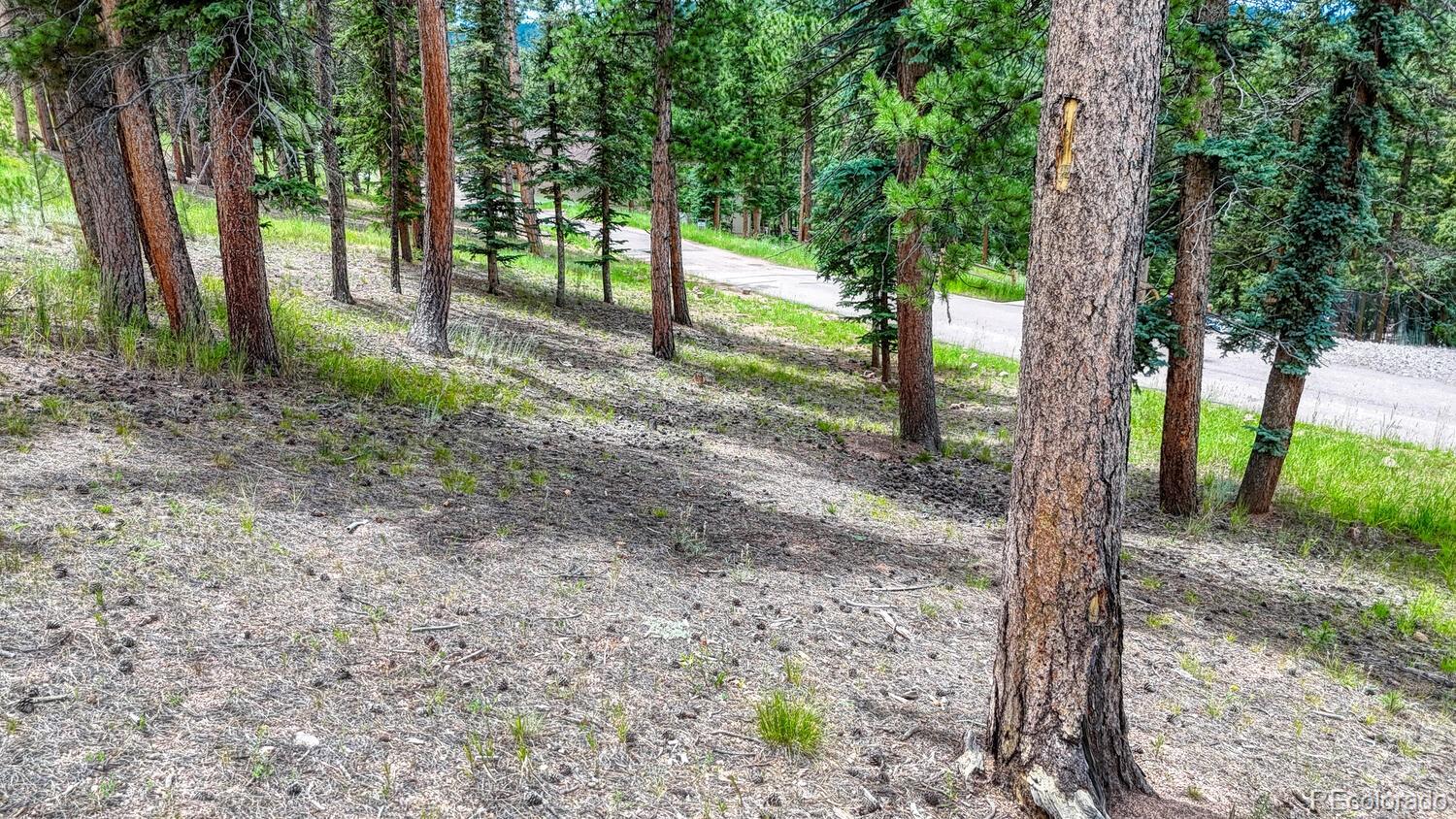 215 Iron Eagle Point Woodland Park CO 80863