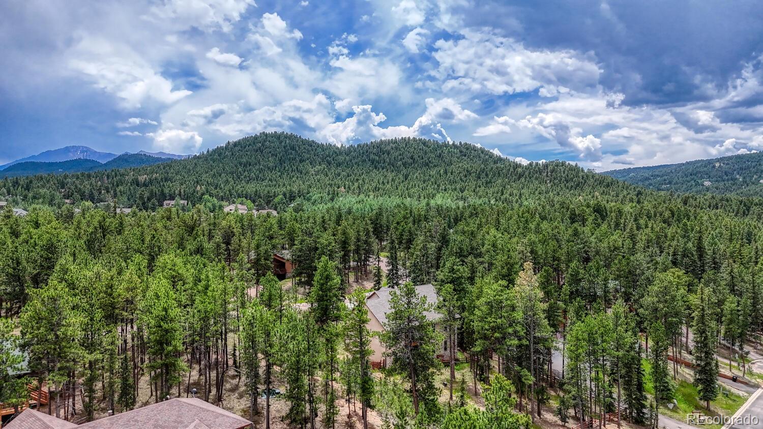 215 Iron Eagle Point Woodland Park CO 80863
