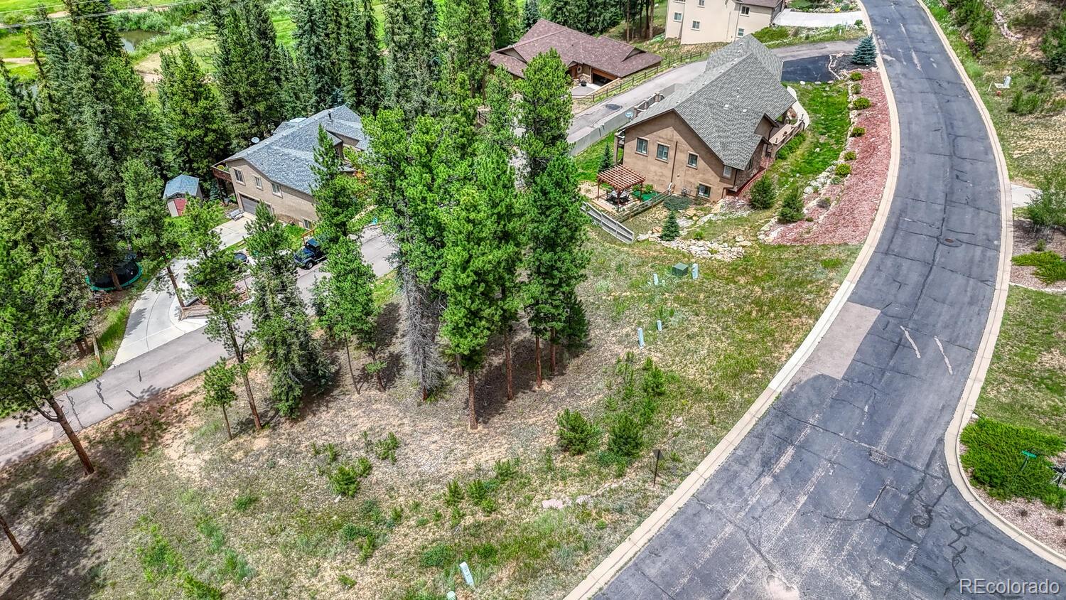 215 Iron Eagle Point Woodland Park CO 80863