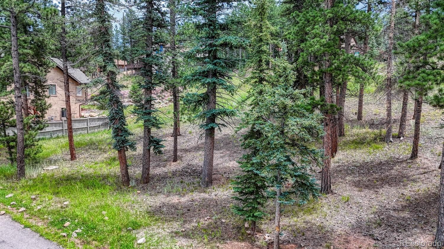 215 Iron Eagle Point Woodland Park CO 80863