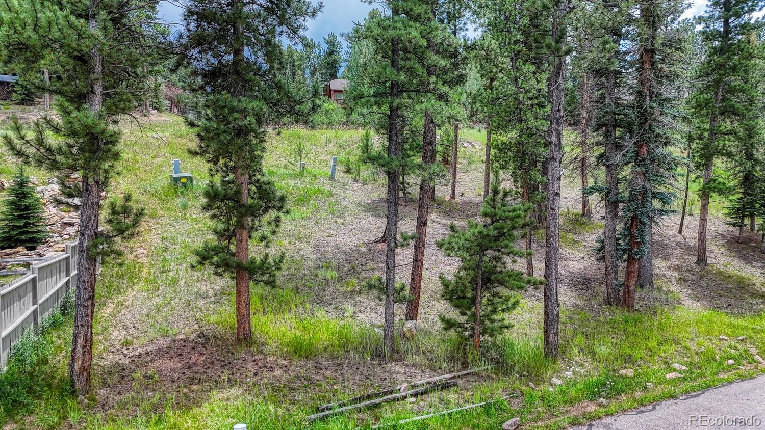 215 Iron Eagle Point Woodland Park CO 80863