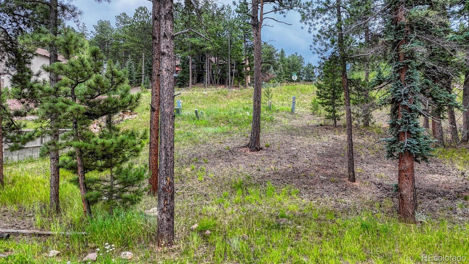 215 Iron Eagle Point Woodland Park CO 80863